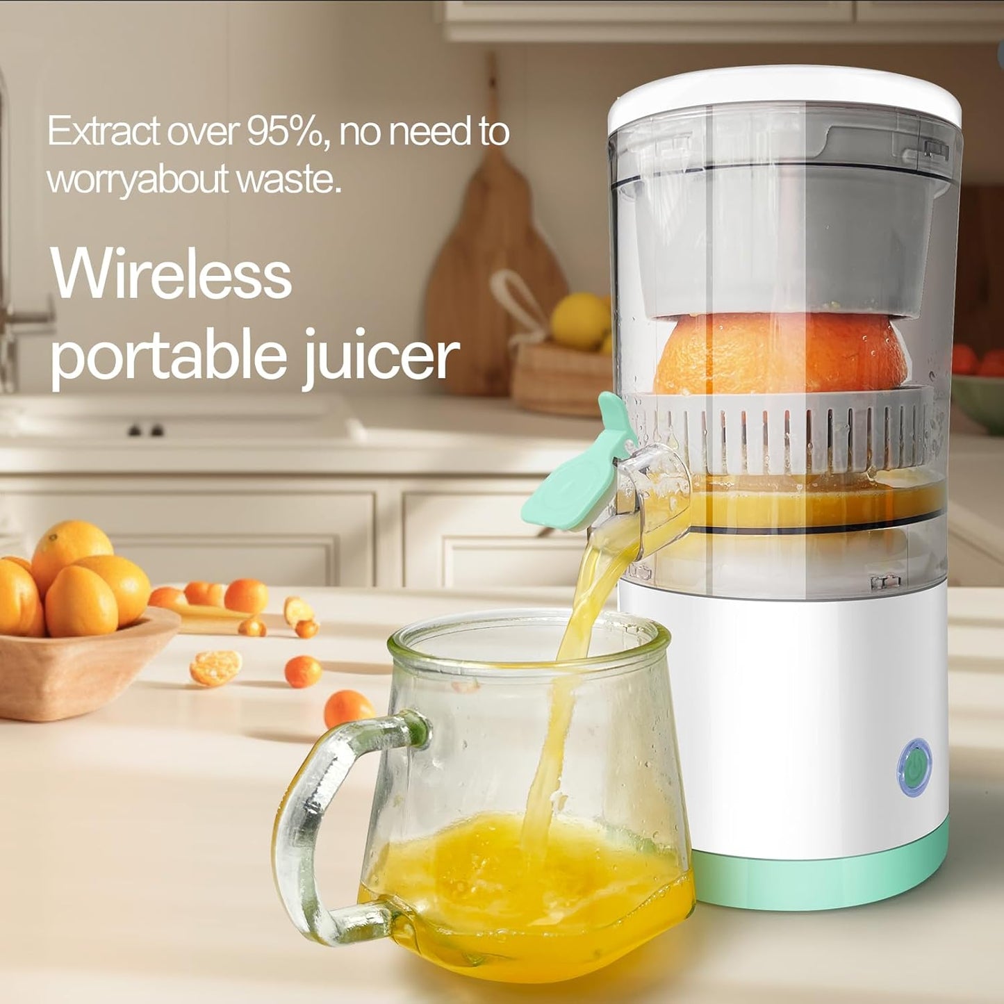 Electric Juicer